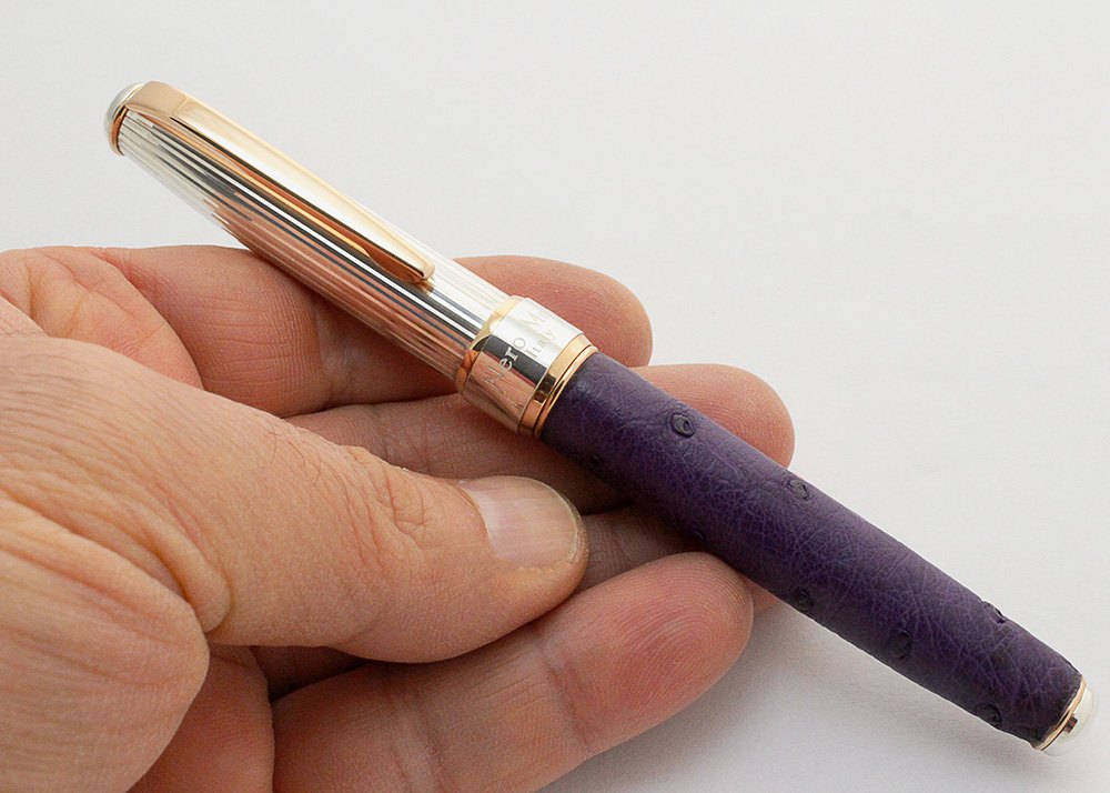 Stylo plume en cuir d'autruche - vue 5