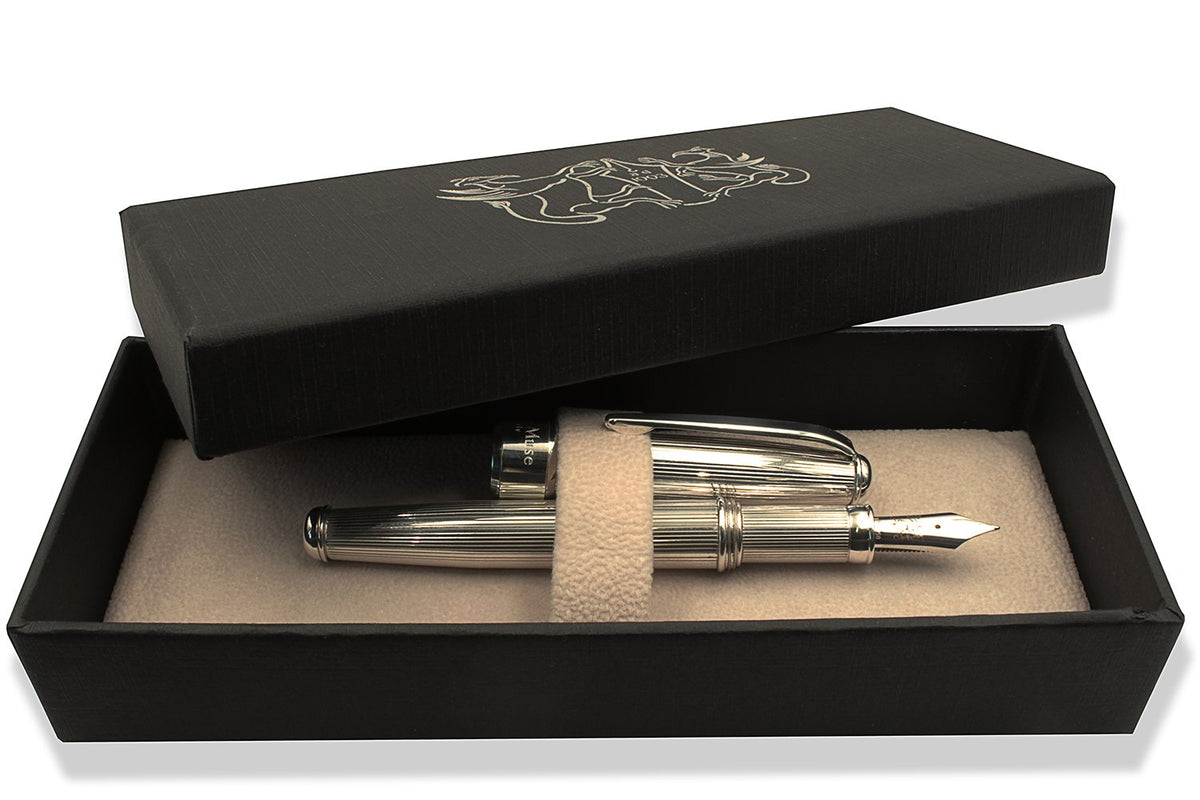Penna Stilografica Argento Millerighe - vista 9