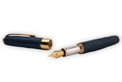 Blue stingray fountain pen